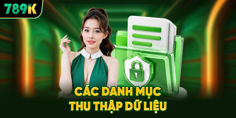 Danh Mục Thu Thập Dữ Liệu Thuộc Quyền Riêng Tư 789K